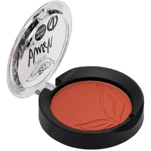 Blush Elevada Duração 5,2g Matte Brick 04